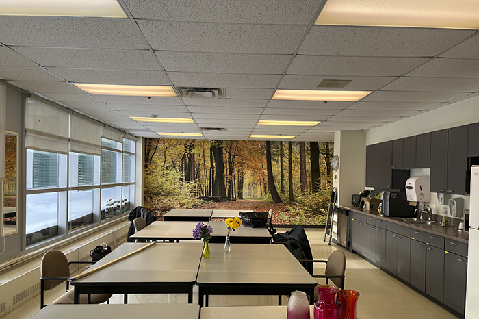 picture of lunch room with forest wallpaper on the wall