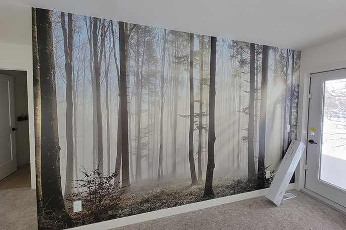 nature wallpaper installed on the entrance wall