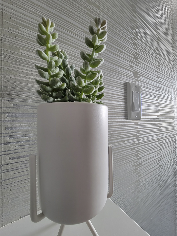 plant pot in the front of wallpaper wall